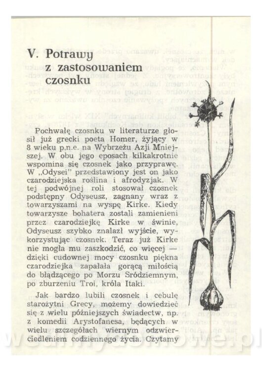 Czosnek Znany I Nieznany_37.jpg