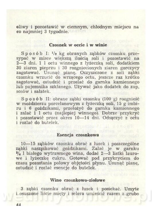 Czosnek Znany I Nieznany_42.jpg