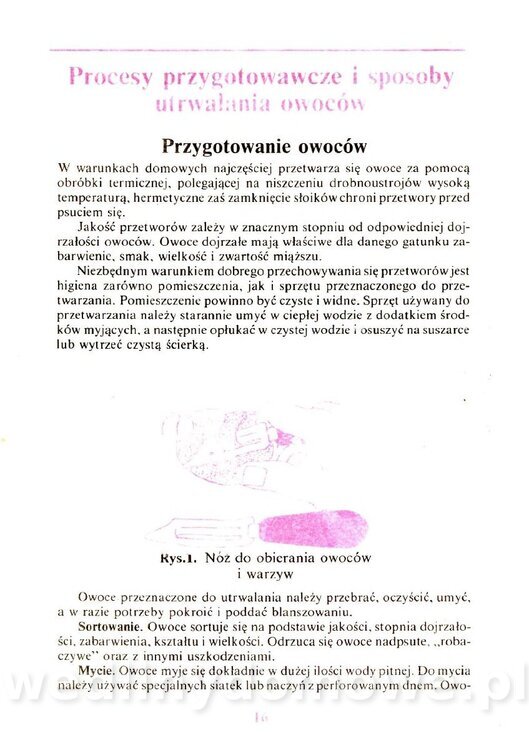 Domowe przetwory z owoców i warzyw_017.jpg