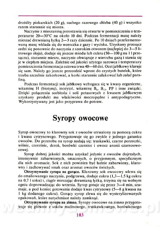 Domowe przetwory z owoców i warzyw_104.jpg