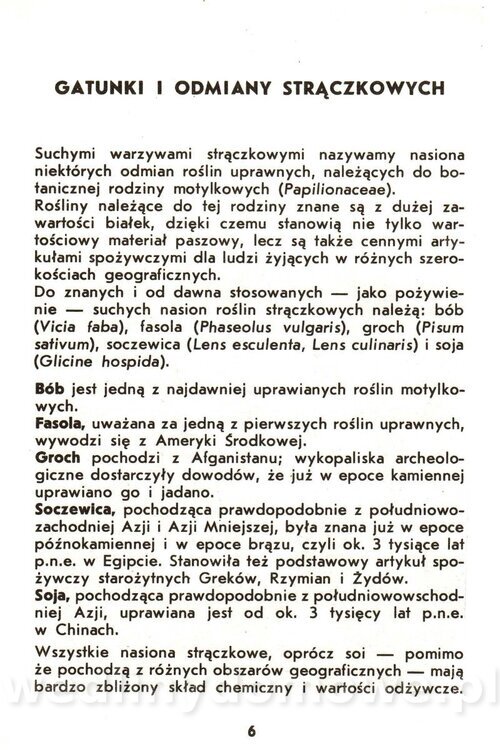 Fasola i groch-Rościszewska-Stoyanow-1984_007.jpg