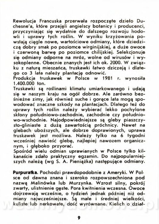 Gaj W. - Truskawki i poziomki_006.jpg