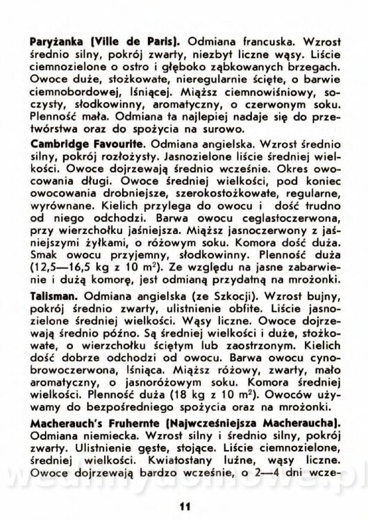 Gaj W. - Truskawki i poziomki_008.jpg