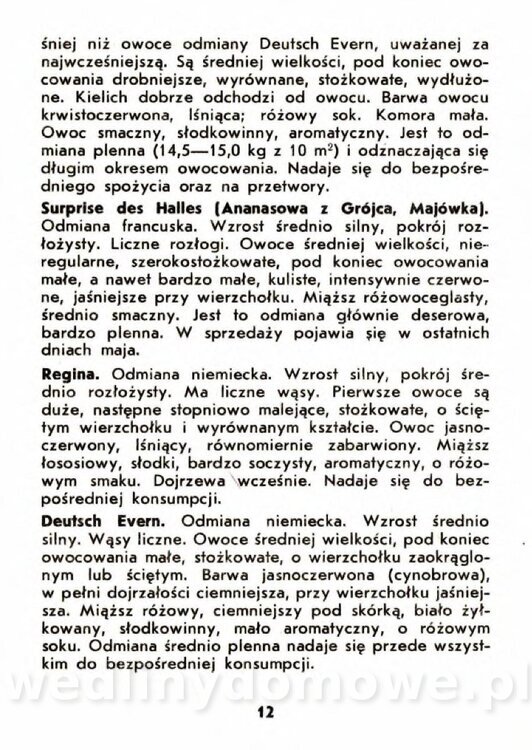 Gaj W. - Truskawki i poziomki_009.jpg