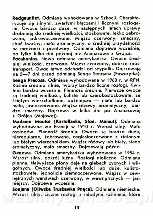 Gaj W. - Truskawki i poziomki_010.jpg