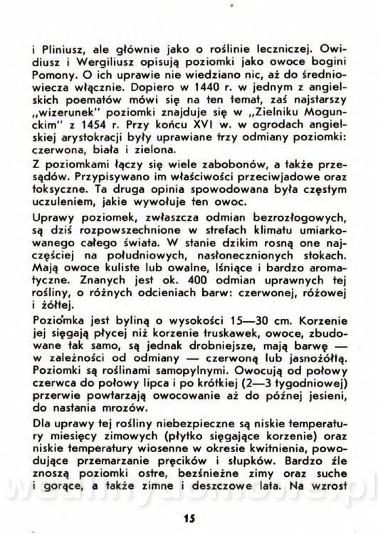 Gaj W. - Truskawki i poziomki_012.jpg