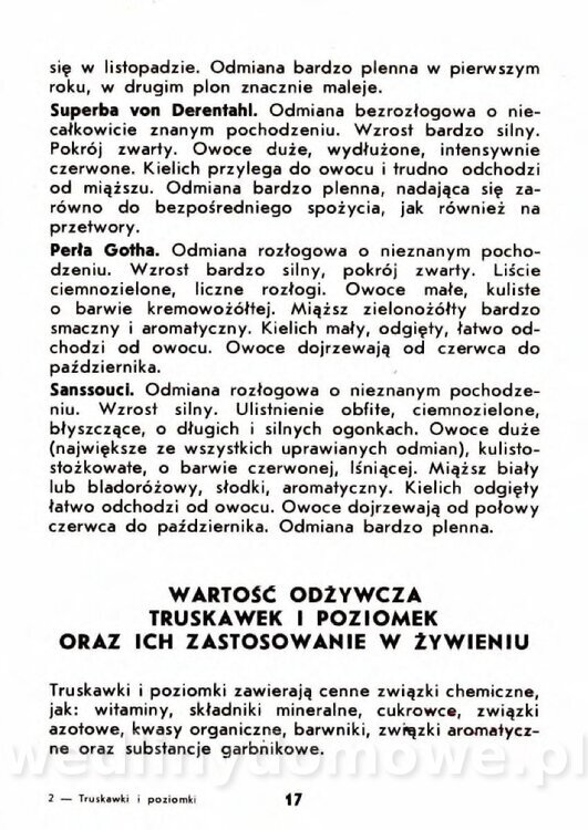 Gaj W. - Truskawki i poziomki_014.jpg