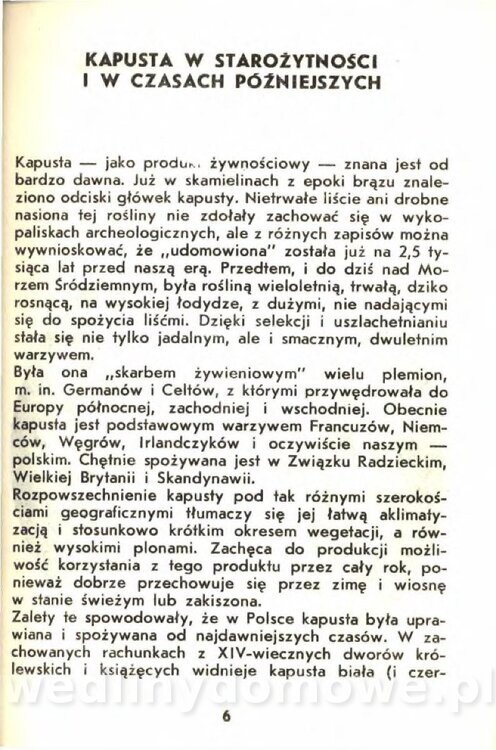 Gasik A. - Kapusta Biała_004.jpg
