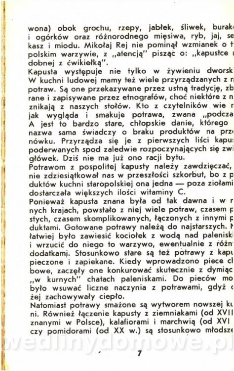 Gasik A. - Kapusta Biała_005.jpg