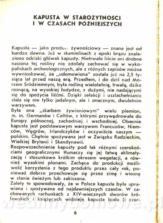 Gasik A. - Kapusta Biała_006.jpg