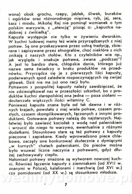 Gasik A. - Kapusta Biała_007.jpg