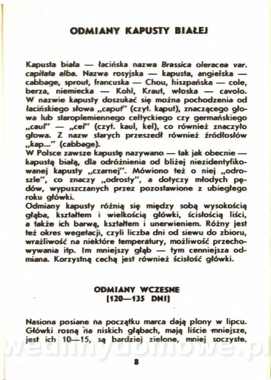 Gasik A. - Kapusta Biała_008.jpg