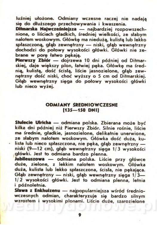 Gasik A. - Kapusta Biała_009.jpg