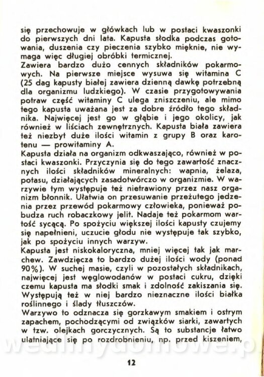 Gasik A. - Kapusta Biała_012.jpg