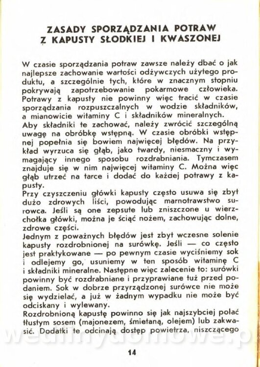 Gasik A. - Kapusta Biała_014.jpg
