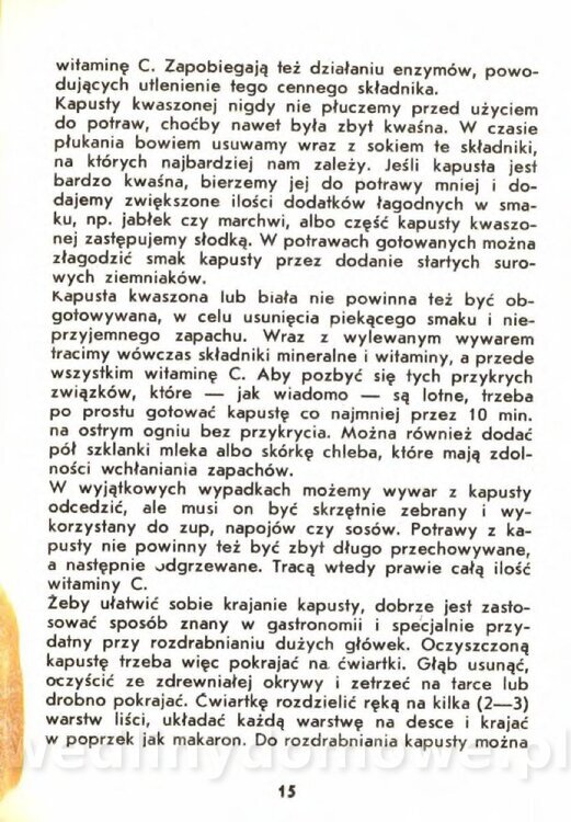 Gasik A. - Kapusta Biała_015.jpg