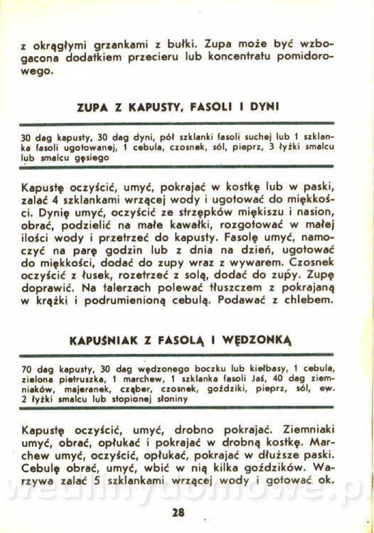 Gasik A. - Kapusta Biała_028.jpg