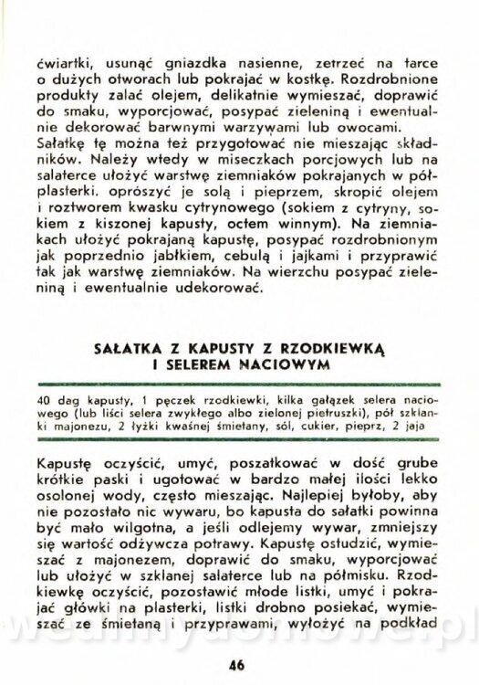 Gasik A. - Kapusta Biała_046.jpg