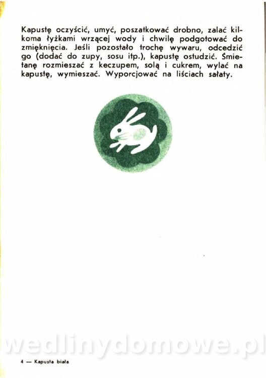 Gasik A. - Kapusta Biała_049.jpg