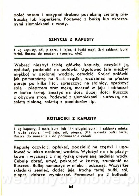 Gasik A. - Kapusta Biała_064.jpg