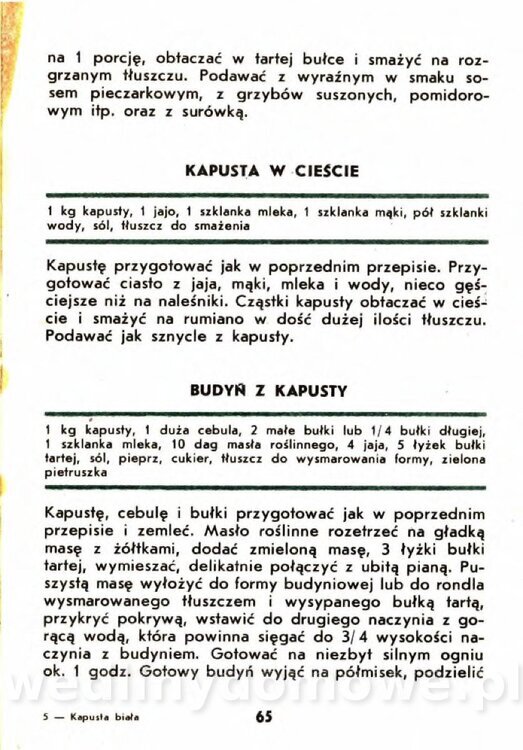 Gasik A. - Kapusta Biała_065.jpg
