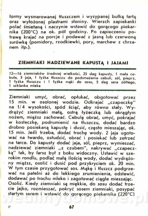 Gasik A. - Kapusta Biała_067.jpg