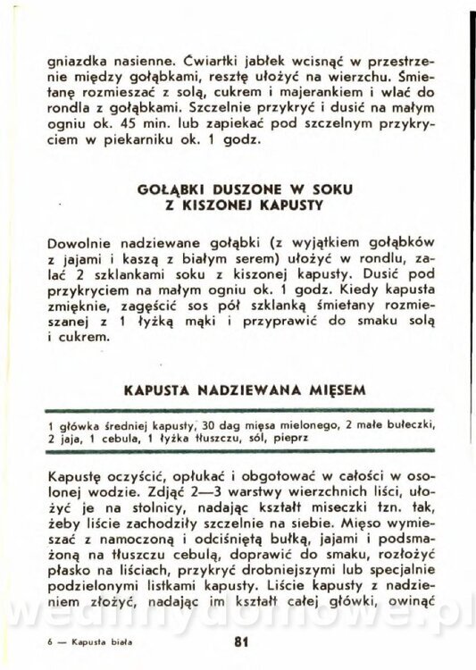 Gasik A. - Kapusta Biała_081.jpg