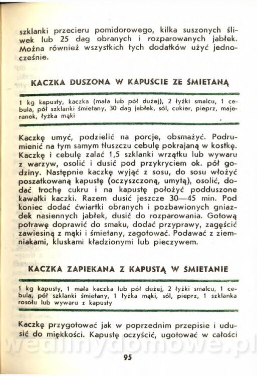 Gasik A. - Kapusta Biała_095.jpg
