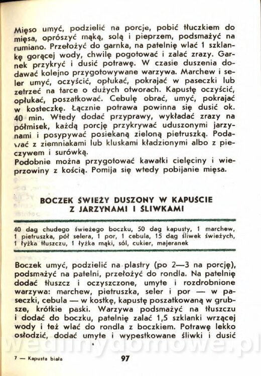 Gasik A. - Kapusta Biała_097.jpg