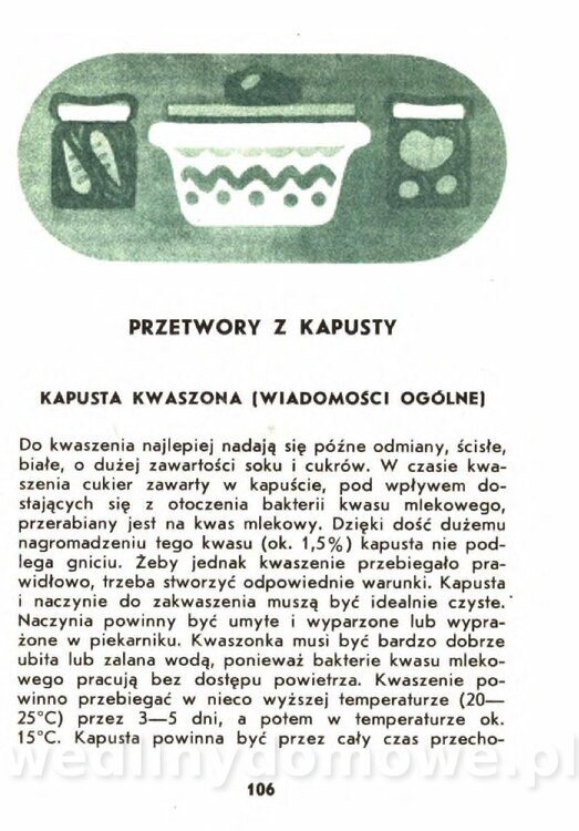Gasik A. - Kapusta Biała_106.jpg
