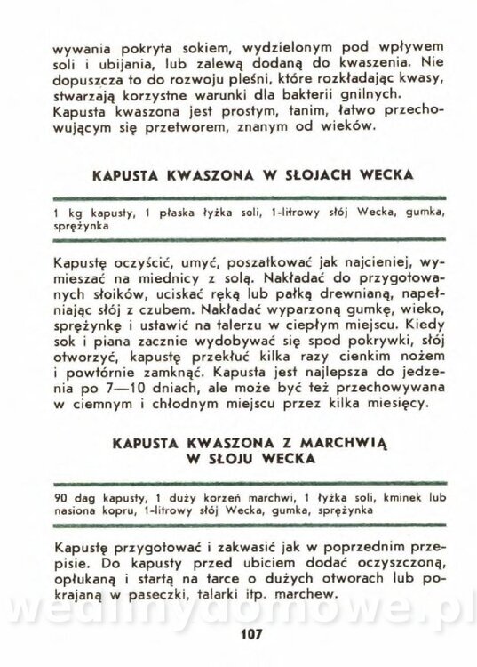 Gasik A. - Kapusta Biała_107.jpg