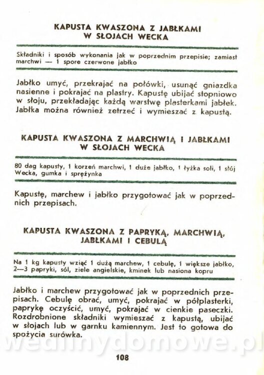 Gasik A. - Kapusta Biała_108.jpg