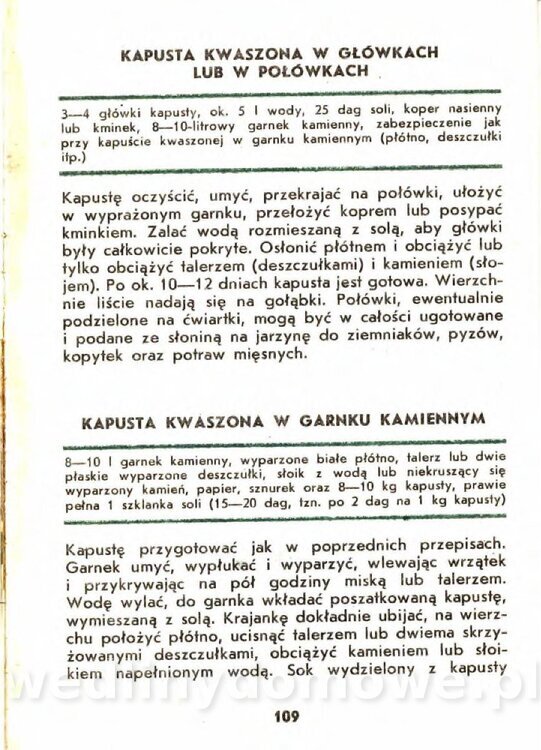 Gasik A. - Kapusta Biała_109.jpg