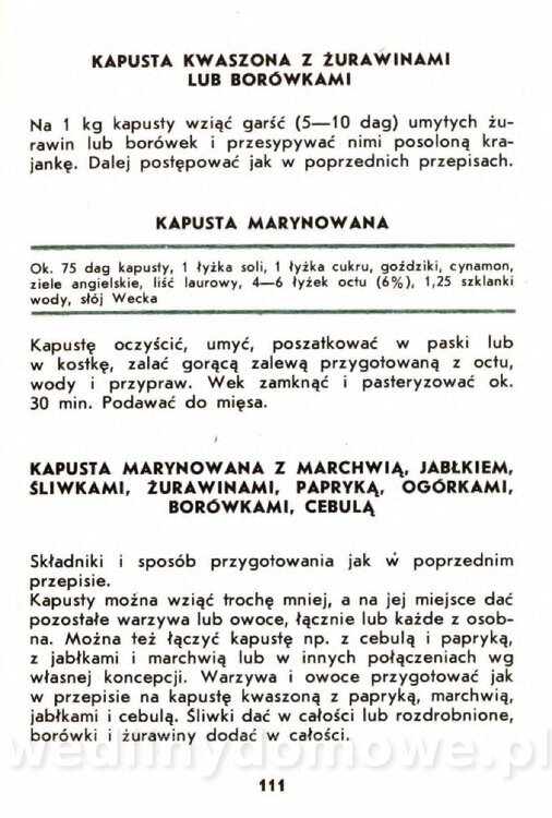 Gasik A. - Kapusta Biała_111.jpg