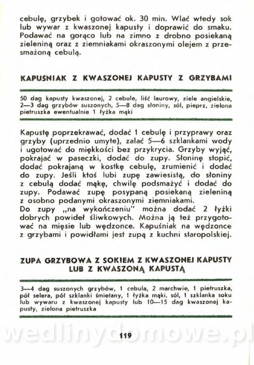 Gasik A. - Kapusta Biała_119.jpg