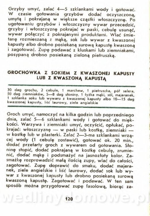 Gasik A. - Kapusta Biała_120.jpg