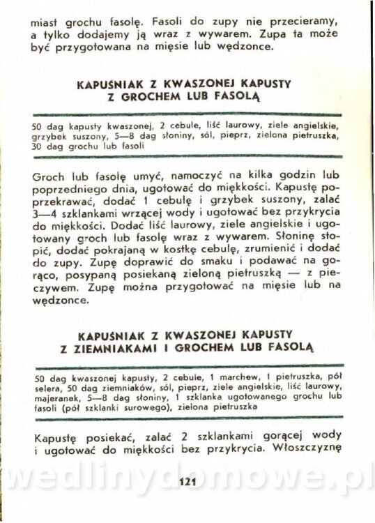 Gasik A. - Kapusta Biała_121.jpg