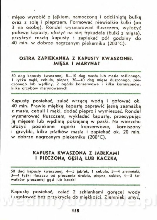 Gasik A. - Kapusta Biała_158.jpg