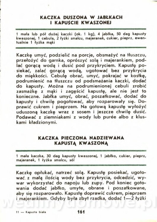 Gasik A. - Kapusta Biała_161.jpg