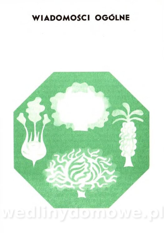 Gasik A. - Warzywa kapustne_003.jpg