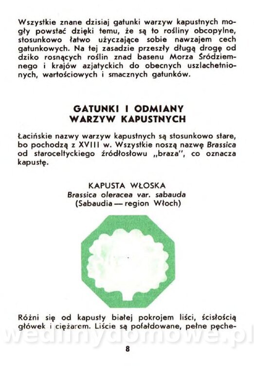 Gasik A. - Warzywa kapustne_006.jpg