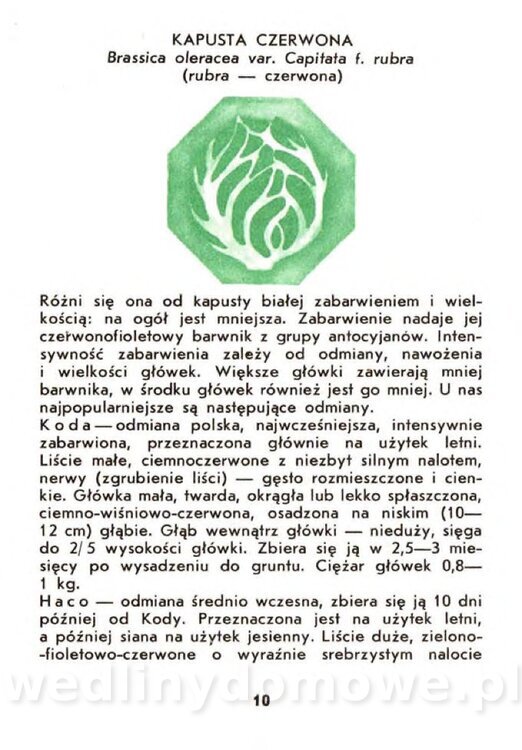 Gasik A. - Warzywa kapustne_008.jpg