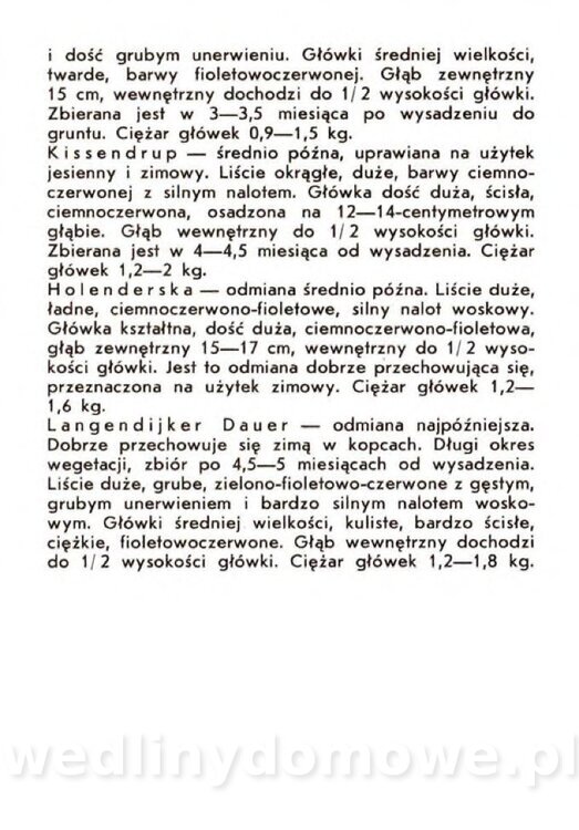 Gasik A. - Warzywa kapustne_009.jpg