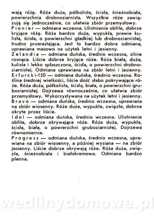 Gasik A. - Warzywa kapustne_011.jpg