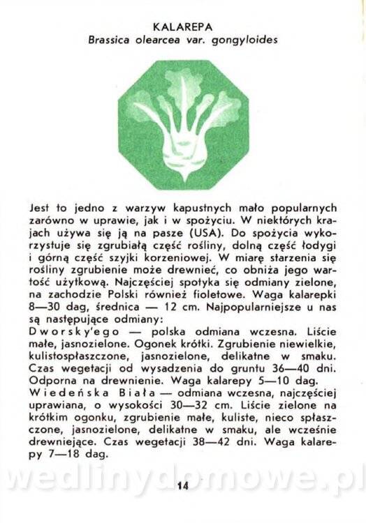 Gasik A. - Warzywa kapustne_012.jpg