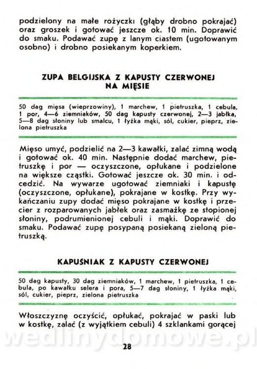 Gasik A. - Warzywa kapustne_026.jpg