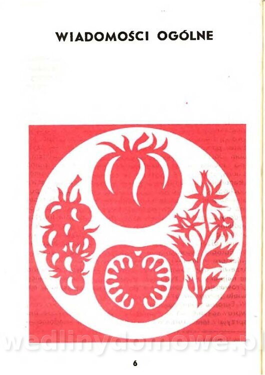 Gasik Anna - Pomidory_004.jpg