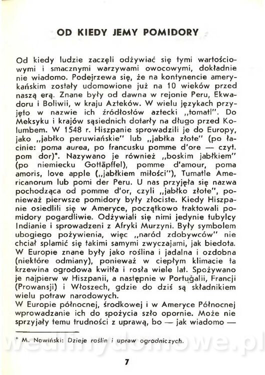 Gasik Anna - Pomidory_005.jpg