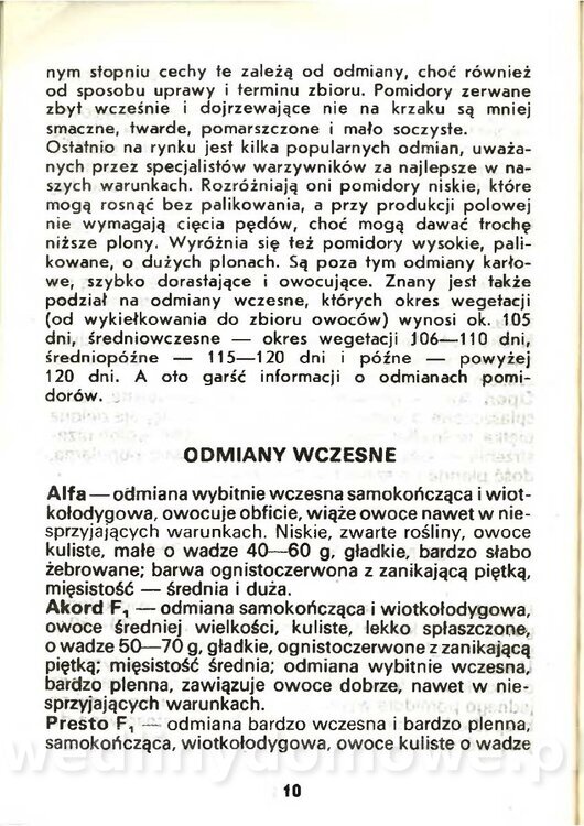Gasik Anna - Pomidory_008.jpg