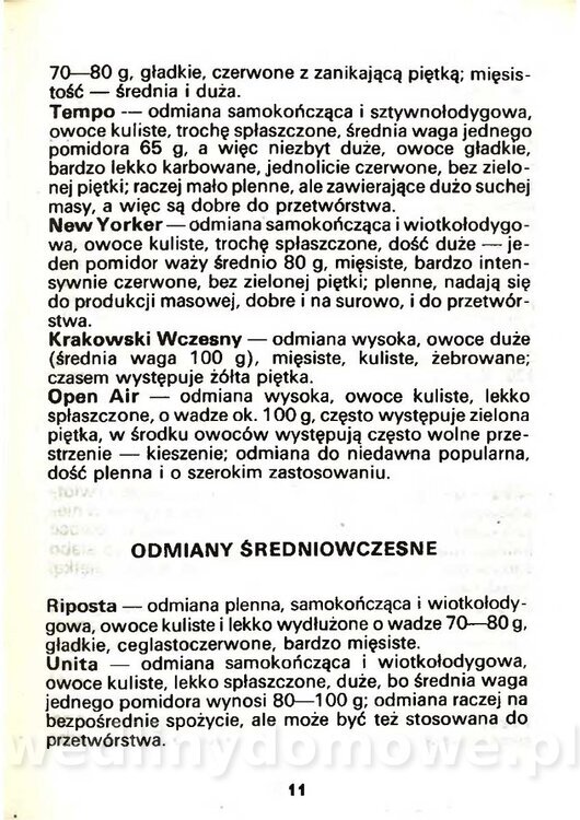 Gasik Anna - Pomidory_009.jpg